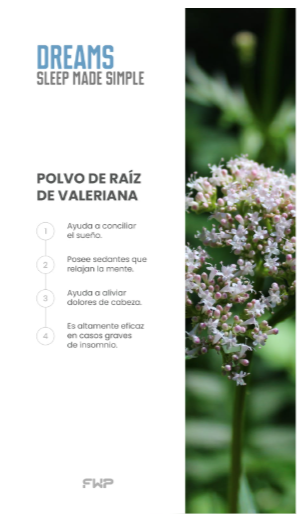 DREAMS™ | Tu aliado para noches más tranquilas y un descanso reparador
