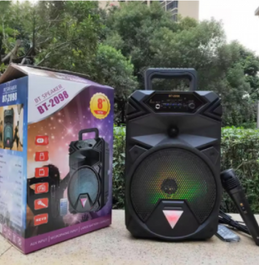 Bocina Portátil Bluetooth 8 Pulgadas